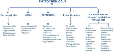 Advantages of Heterotrophic Microalgae as a Host for Phytochemicals Production